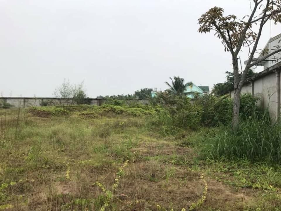 LÔ ĐẤT ĐẸP TẠI ĐỨC HOÀ, LONG AN CẦN TÌM CHỦ MỚI CHO NHỮNG DỰ ÁN TRONG TƯƠNG LAI GẦN.