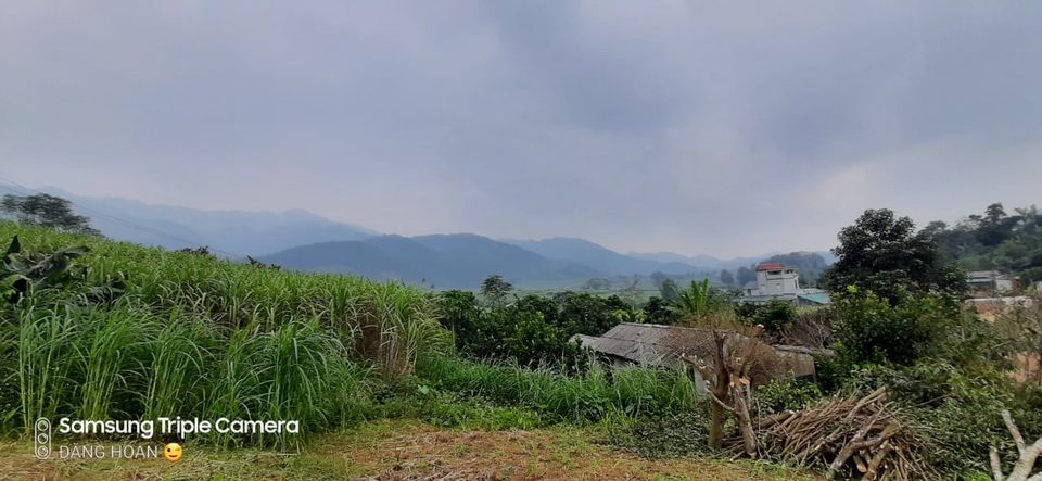 Chính chủ gửi bán lô đất 3057m thổ cư , diện tích thực tế 3800m tại Cao Phong Hòa Bình.