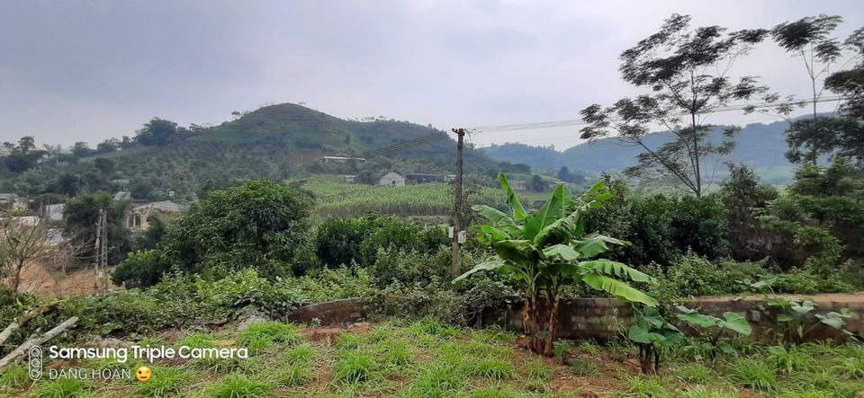 Chính chủ gửi bán lô đất 3057m thổ cư , diện tích thực tế 3800m tại Cao Phong Hòa Bình.