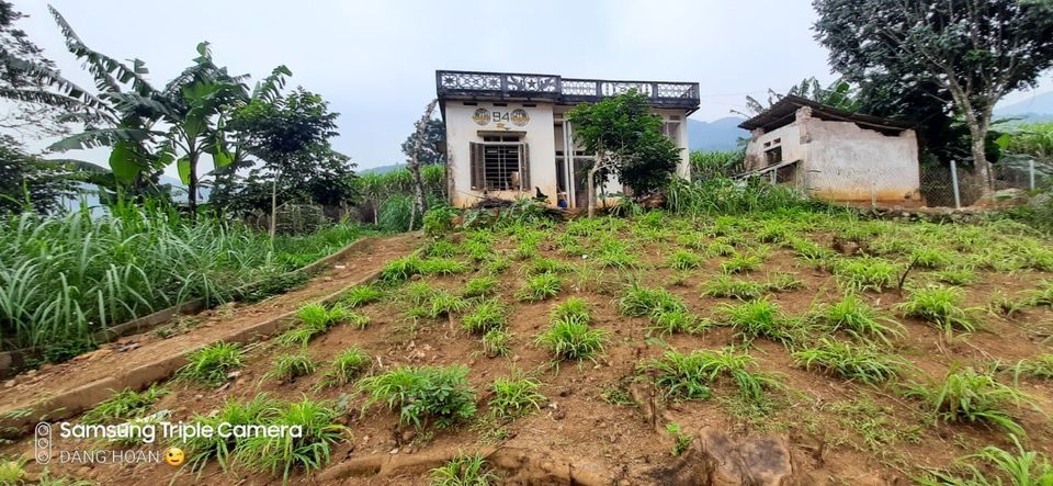 Chính chủ gửi bán lô đất 3057m thổ cư , diện tích thực tế 3800m tại Cao Phong Hòa Bình.