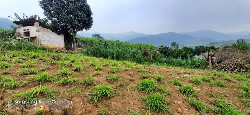 Chính chủ gửi bán lô đất 3057m thổ cư , diện tích thực tế 3800m tại Cao Phong Hòa Bình.