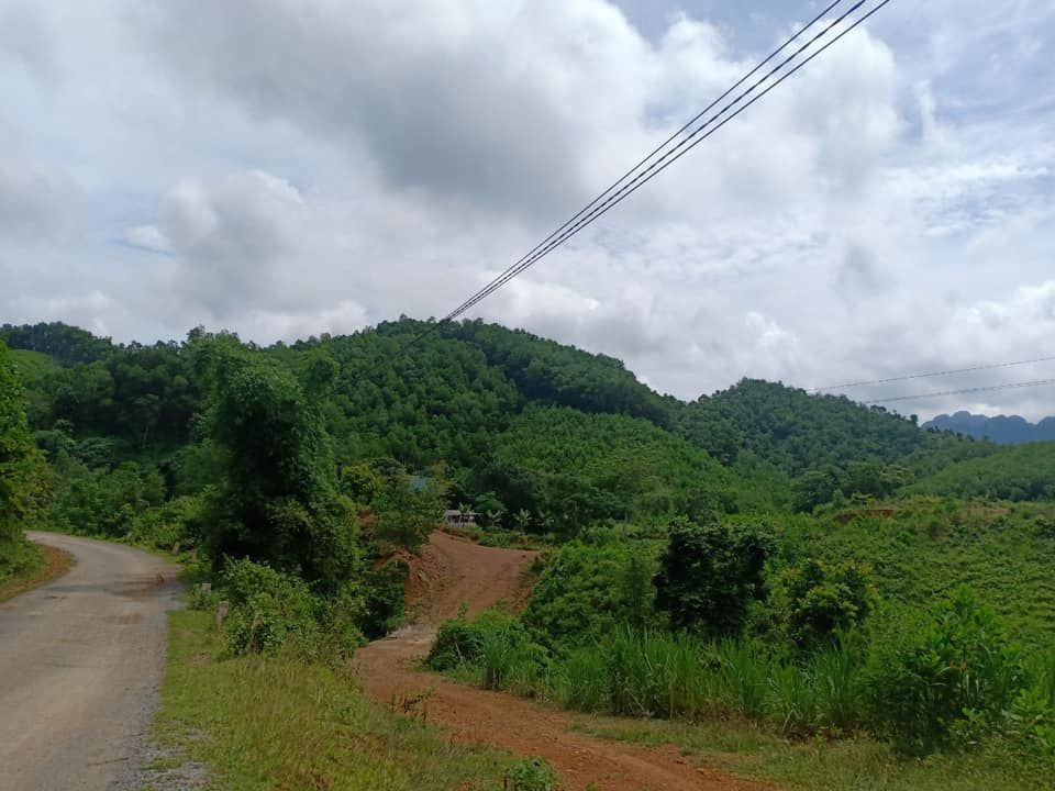 Bán 550m có 100m đất ở. cách trục chính thị trấn kim bôi 800m. Đường nhựa ô tô vào tận đất.