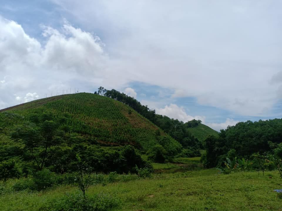 Bán 550m có 100m đất ở. cách trục chính thị trấn kim bôi 800m. Đường nhựa ô tô vào tận đất.