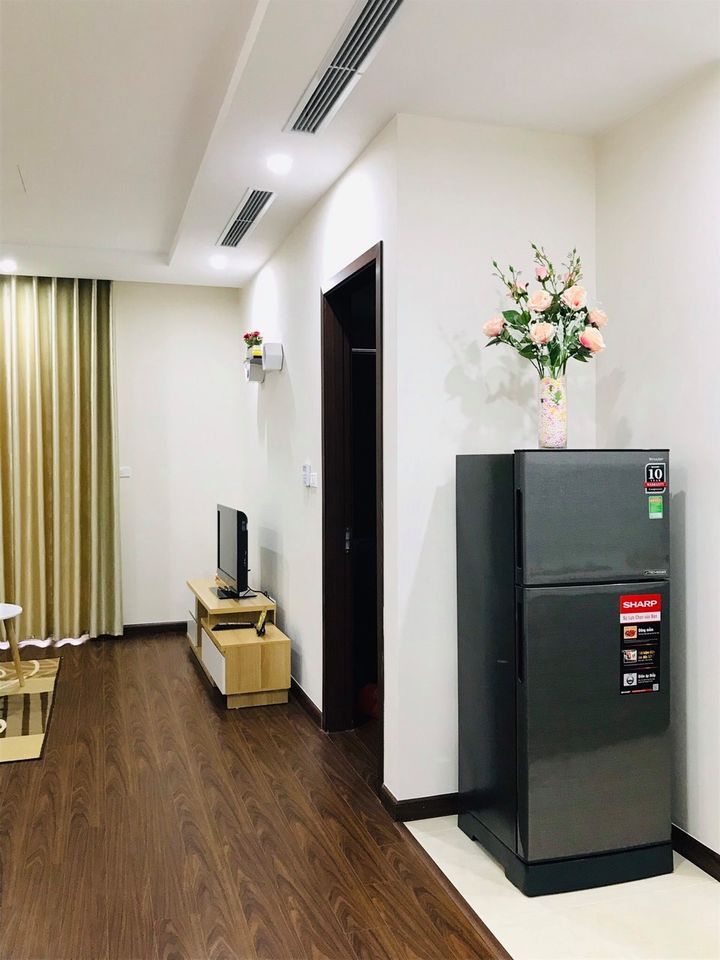 chính chủ cho thuê căn hộ roman plaza 2pn 2vs full đồ
