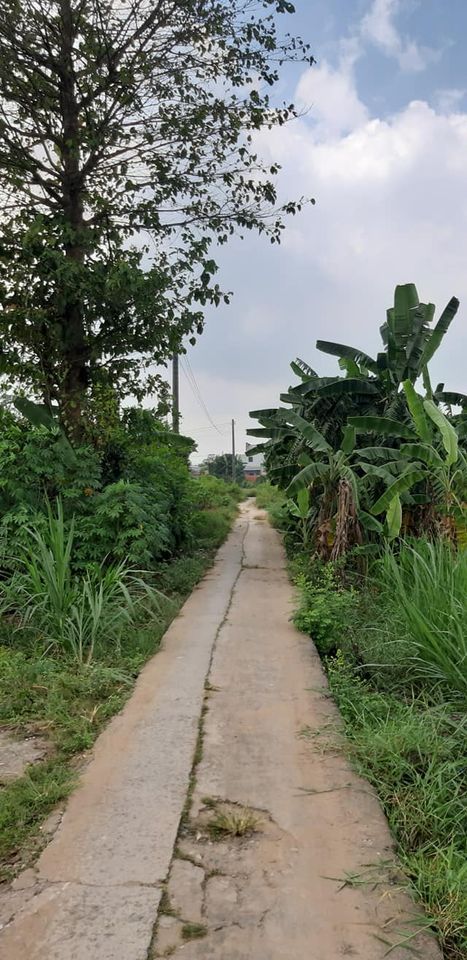 BÁN NỀN THỔ CƯ GIÁ RẺ HẺM LẨU BÒ 7 MẬP, ấp Long Thuận A,xã Long Phước, LH DT: 5x19,tổng 94,6m²