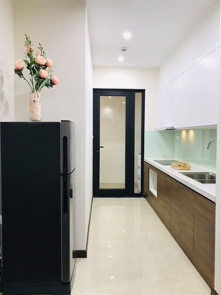 chính chủ cho thuê căn hộ roman plaza 2pn 2vs full đồ