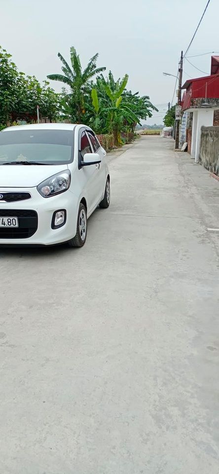 Chính chủ đang có mấy lô đất ở Thái Thụy cực rẻ. Giá chỉ từ 250tr-350tr/lô.