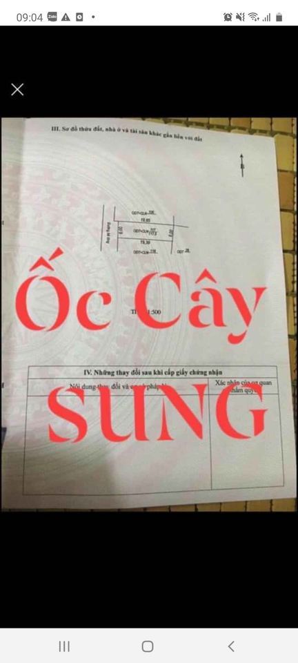 Chủ cần bán nhanh Đất đẹp Bắc Lý gần ốc Cây Sung Dãy 2 đường Hữu Nghị sát trường Đại Học