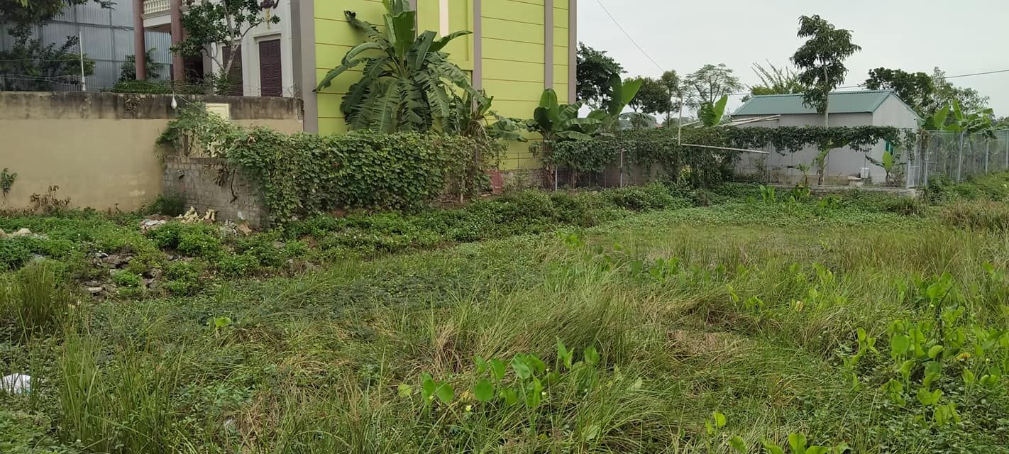 Bán đất Rộng 7m. Dài 15 m. Lưu không 23 m. Mặt đường 10. Ql 45 thị trấn nông cống.