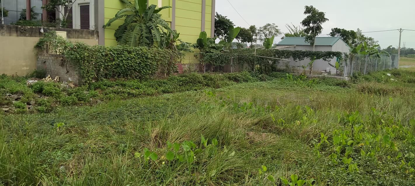 Bán đất Rộng 7m. Dài 15 m. Lưu không 23 m. Mặt đường 10. Ql 45 thị trấn nông cống.
