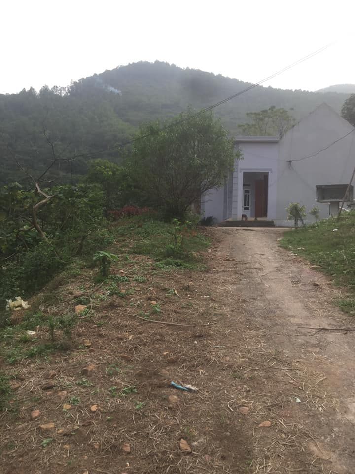 Bán lô đất với Dt gần 10h ô tô đi đường bê tông vào tận đất lương Sơn Hoà Bình
