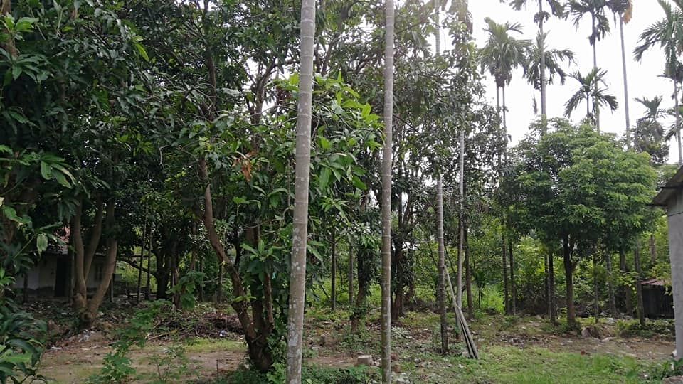 Cho thuê gần 1.5ha đất + nhà khu Phố Viên (gần ĐẠI HỌC MỎ, BỆNH VIỆN PHƯƠNG ĐÔNG
