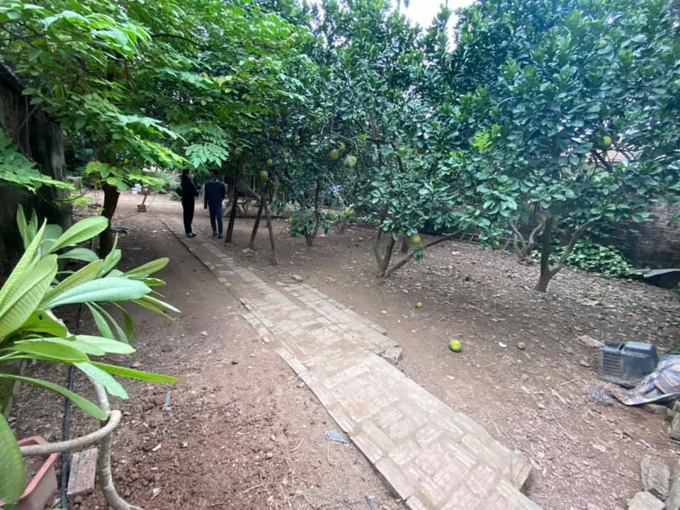 CHÍNH CHỦ CẦN BÁN CẮT LỖ LÔ ĐẤT THỔ CƯ 1000 M2 TẠI ĐÔNG LA - HOÀI ĐỨC - HÀ NỘI