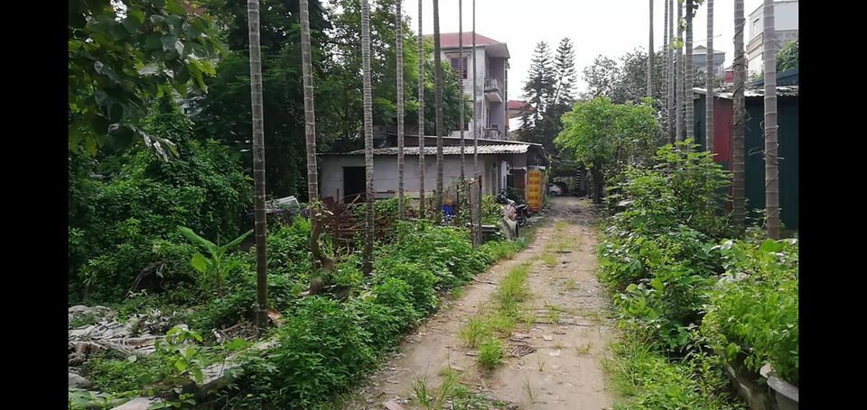 Cho thuê gần 1.5ha đất + nhà khu Phố Viên (gần ĐẠI HỌC MỎ, BỆNH VIỆN PHƯƠNG ĐÔNG