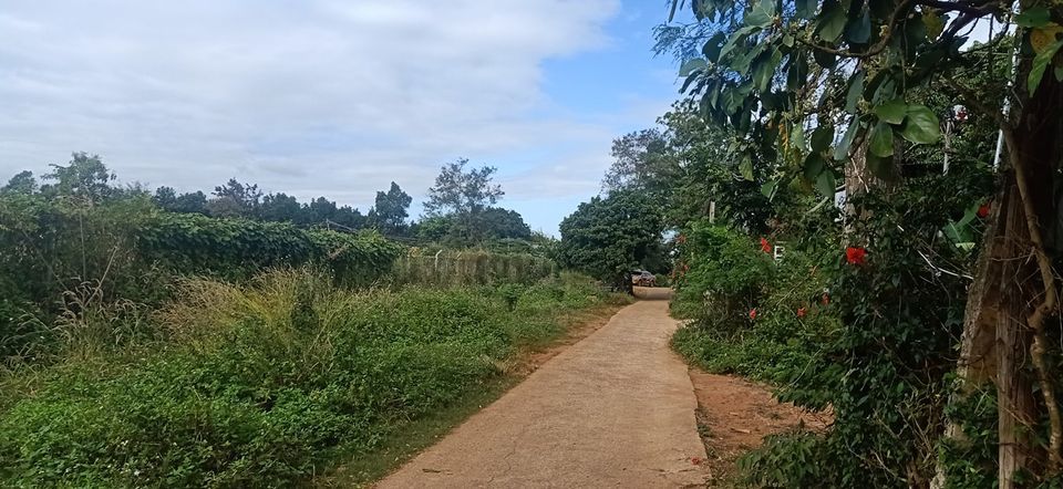 Cho thuê nhà chính chủ 2,5tr/1tháng Phường Tân An 1p khách,1pngu,1p bếp,1p vs.