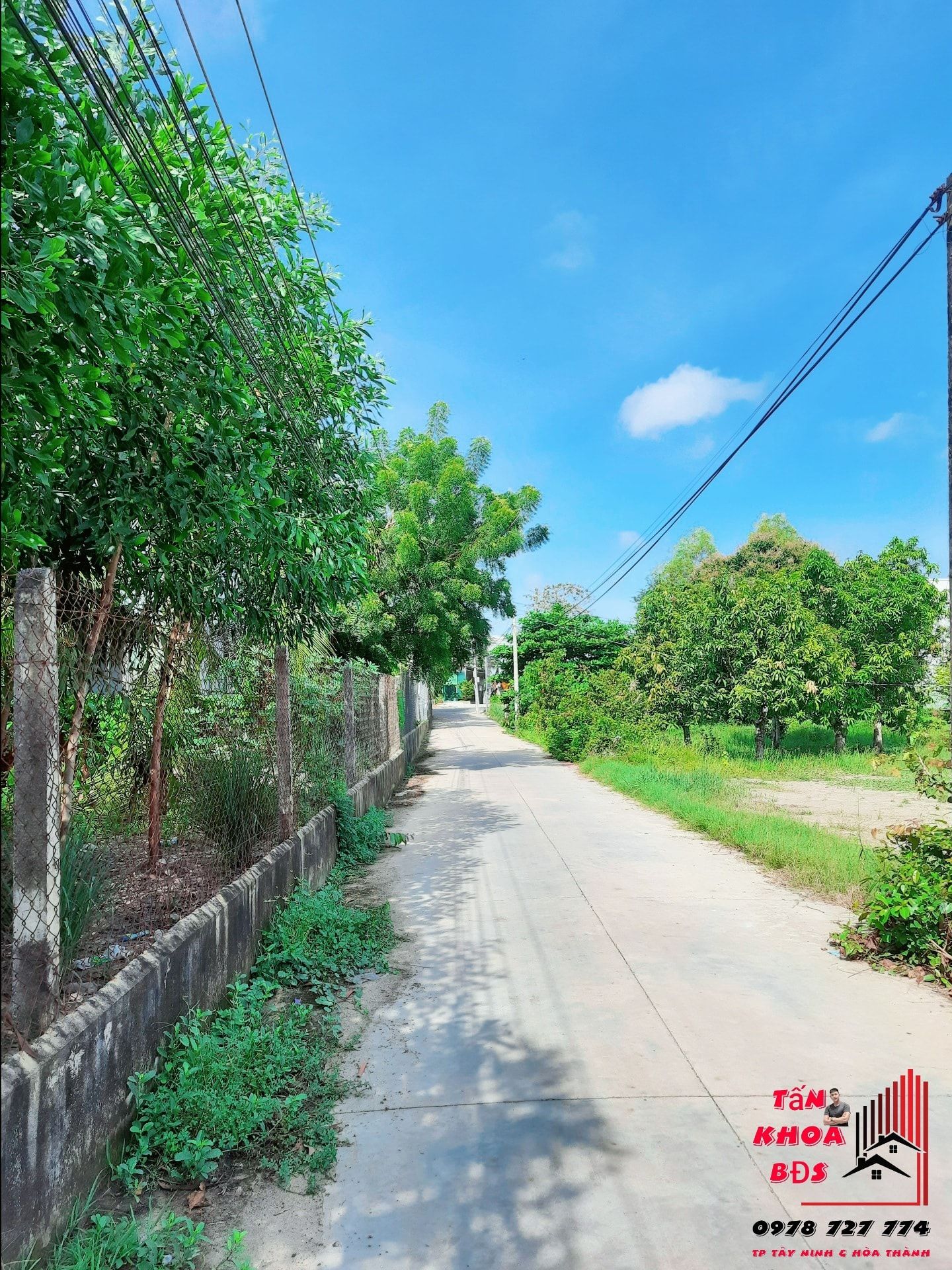 Bán đất Bình Minh Thành Phố Tây Ninh Tài chính phù hợp cho vợ chồng ra riêng 5 x 24 tc 100%
