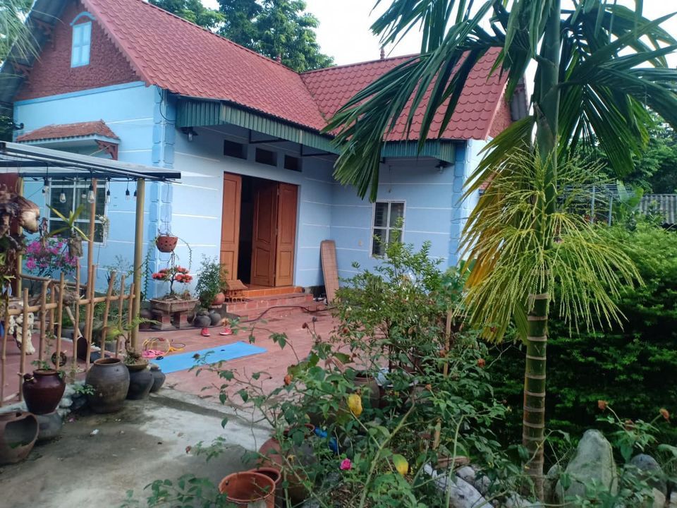 Bán gấp đất tặng nhà vườn đẹp tại hoàng hoa ,tam dương,dt 1224m2, lh 0948552222