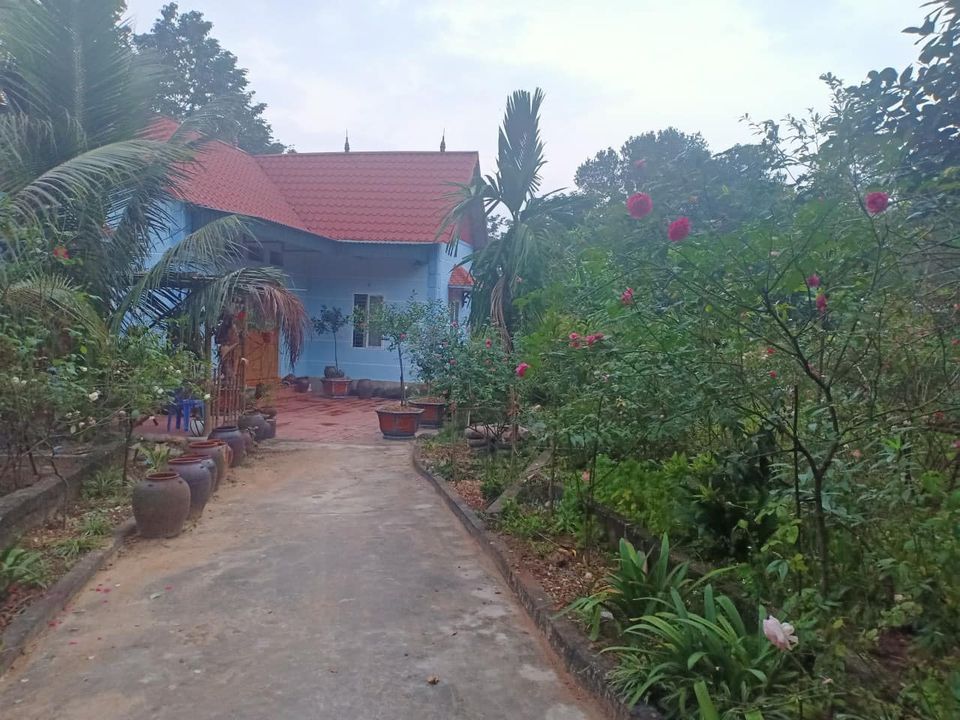 Bán gấp đất tặng nhà vườn đẹp tại hoàng hoa ,tam dương,dt 1224m2, lh 0948552222
