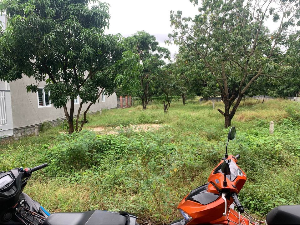 Muốn tìm kiếm chủ cho lô đất Cách quốc lộ 100m dt 10mx36,37m Cam Đức Cam Lâm
