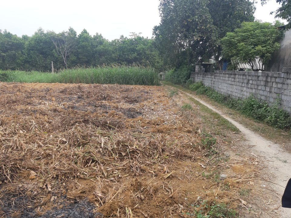 Bán 3500m² đất, có 200m² đất thổ cư Lương Sơn Hòa Bình khu hót nhất trong huyện lương sơn