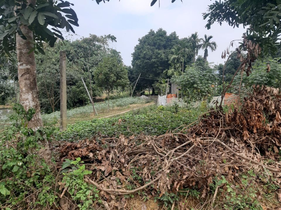 Bán 3500m² đất, có 200m² đất thổ cư Lương Sơn Hòa Bình khu hót nhất trong huyện lương sơn