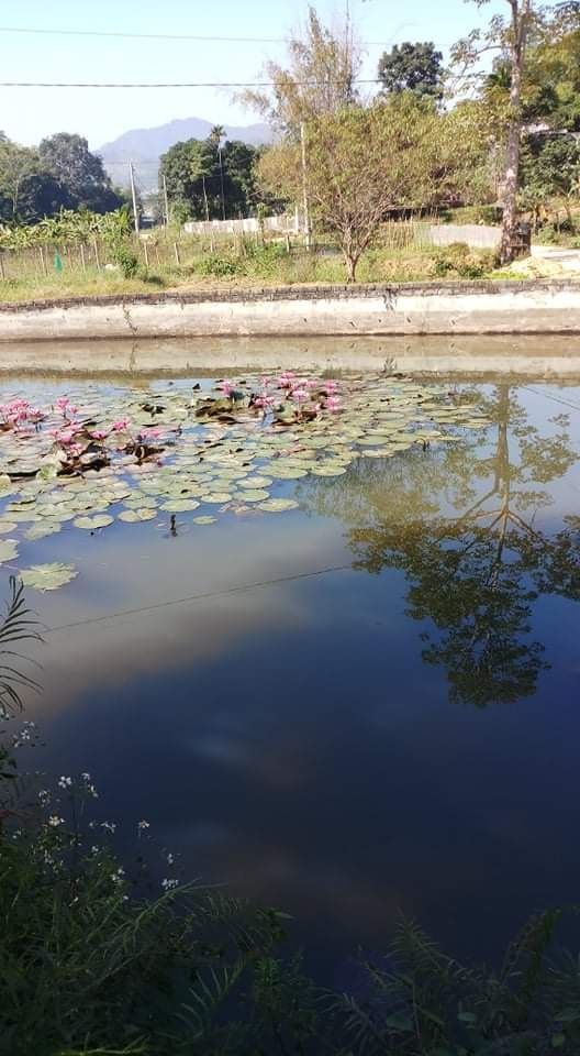 Bán đất gần 200m2. Có nhà c4 đang ở. Đia chỉ X.Chu. Trung Minh. Tp HB