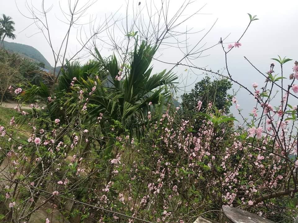 BÁN ĐẤT TRUNG TÂM HUYỆN HÀM YÊN. KM 43 Tại km 43 thi trấn tân yên