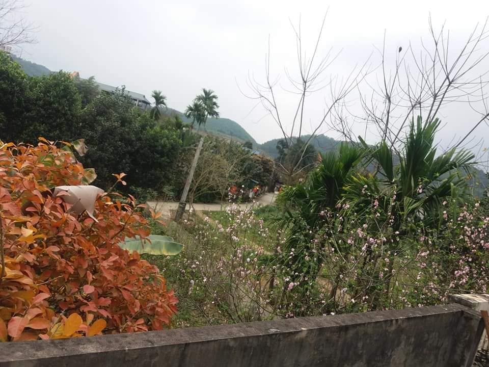 BÁN ĐẤT TRUNG TÂM HUYỆN HÀM YÊN. KM 43 Tại km 43 thi trấn tân yên