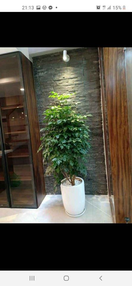 BÁN NHÀ NGỌC LÂM 55M X5T X4M NHỈNH 6 TỶ FULL NỘI THẤT GIƯỜNG TỦ TOÀN GỖ LIM
