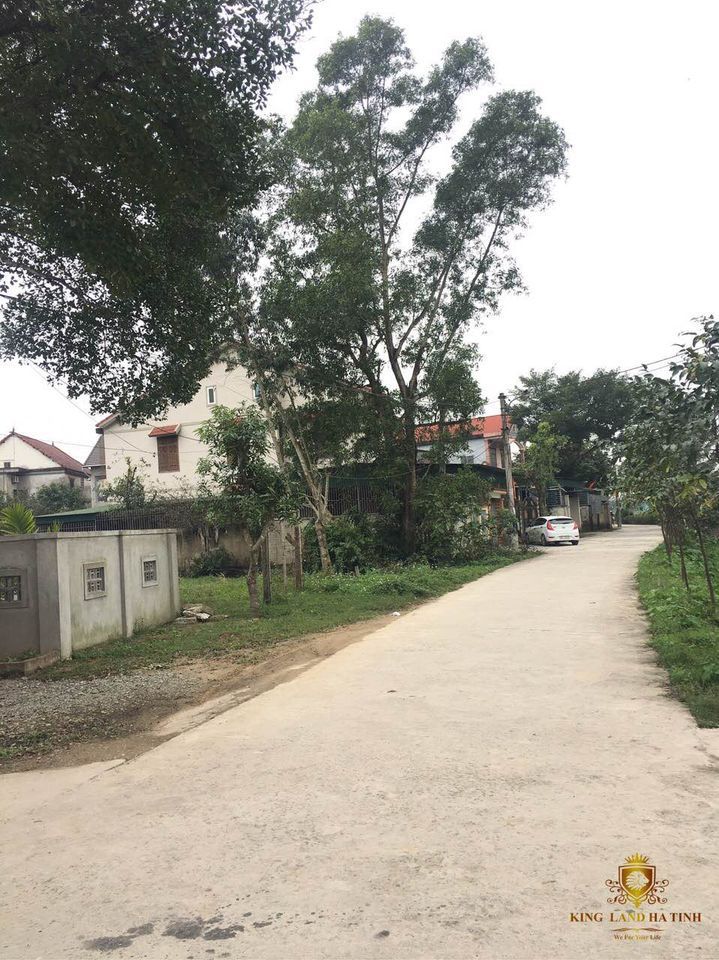 BÁN LÔ ĐẤT TỔ 7 NGUYỄN DU GẦN KHU QH BẮC TP.HÀ TĨNH CUỐI ĐƯỜNG NGUYỄN HUY TỰ KÉO DÀI