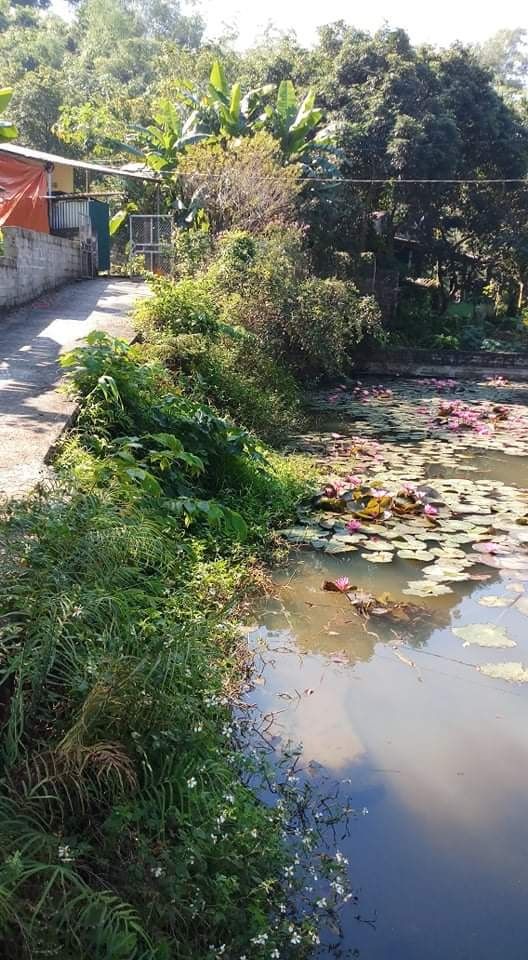 Bán đất gần 200m2. Có nhà c4 đang ở. Đia chỉ X.Chu. Trung Minh. Tp HB
