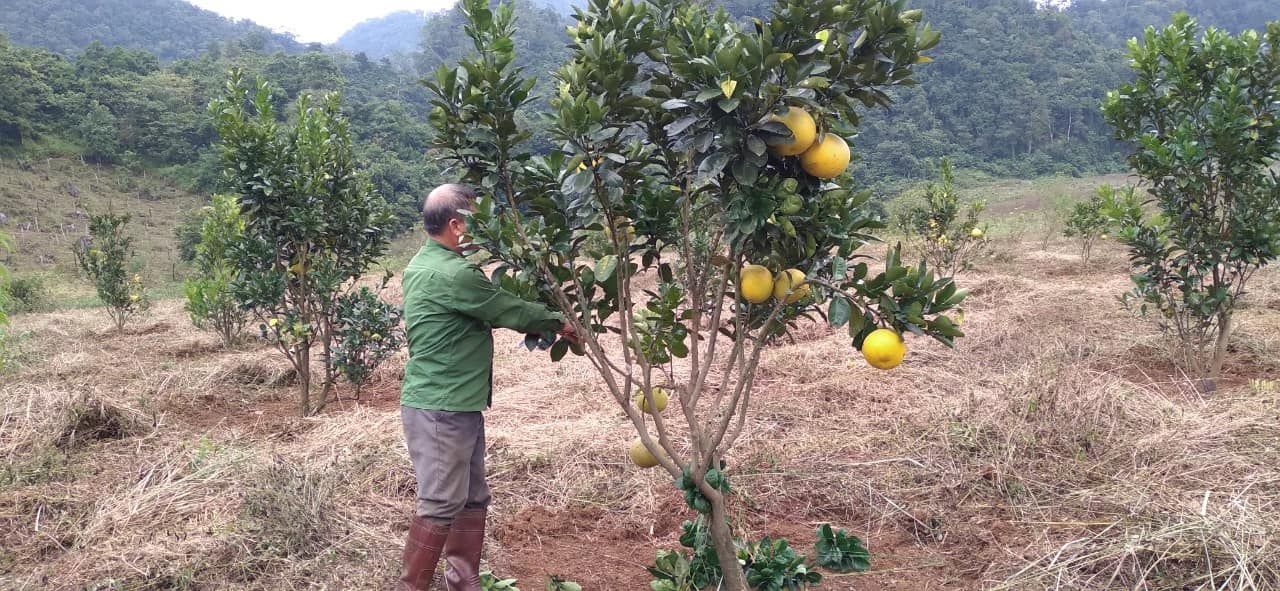 cần sang nhượng lại lô đất 3.5ha đất ít dốc gần như không có đá,giếng nước dồi dào nước Mộc Châu