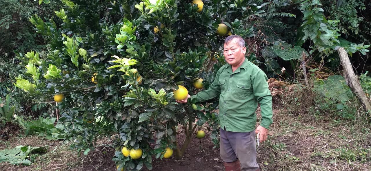cần sang nhượng lại lô đất 3.5ha đất ít dốc gần như không có đá,giếng nước dồi dào nước Mộc Châu