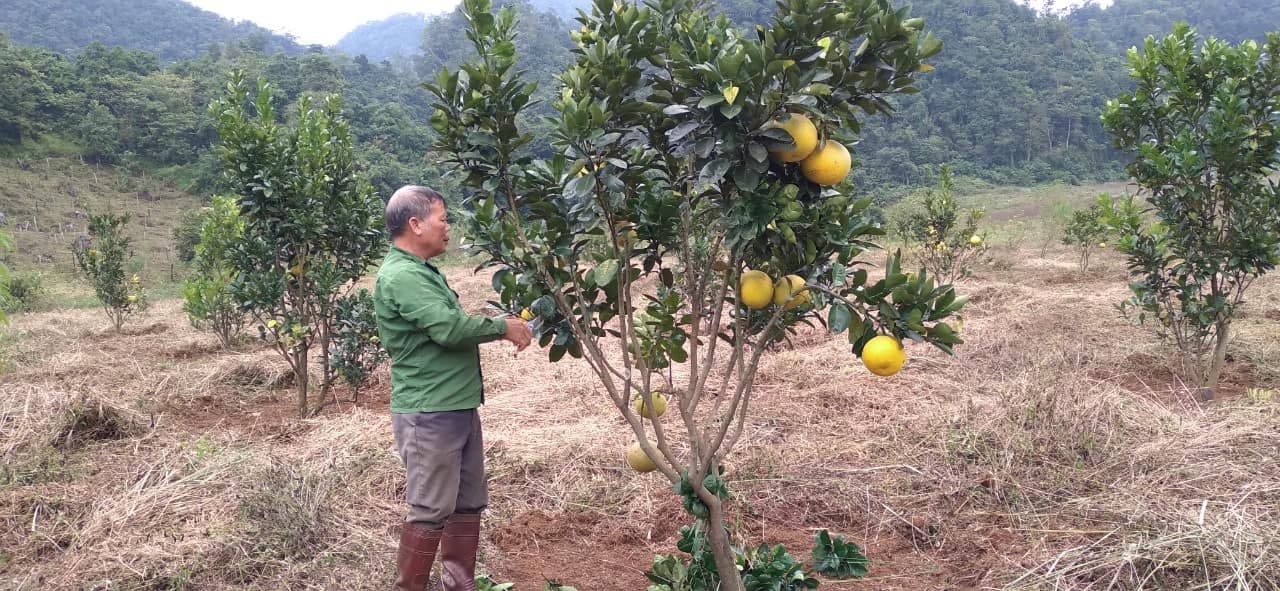 cần sang nhượng lại lô đất 3.5ha đất ít dốc gần như không có đá,giếng nước dồi dào nước Mộc Châu