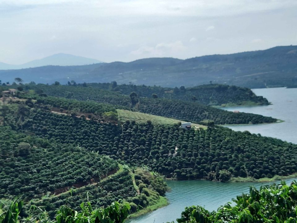 Bán đất View sông phong thủy cực đẹp tựa sơn hướng thủy. Diện tích 8600m² có hơn 100met mặt hồ
