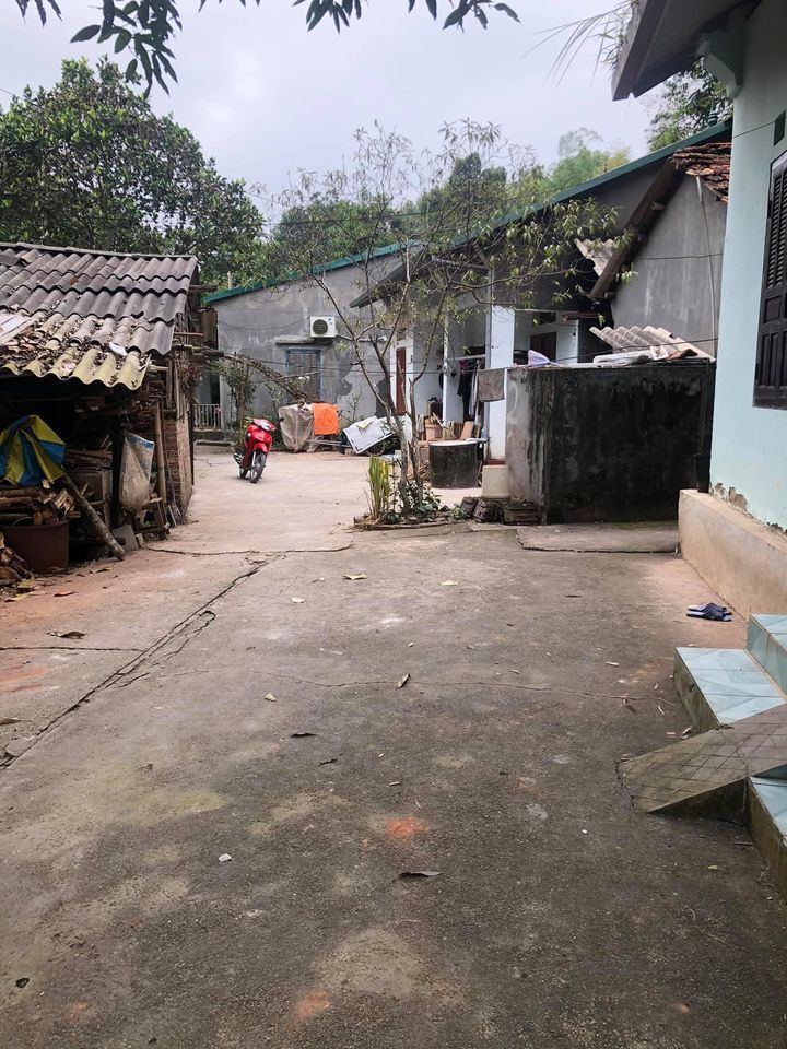 Cần bán mảnh đất kèm tặng nhà cấp 4, tổ 3 Tân Giang Diện tích: 214m, có 80m đất ở