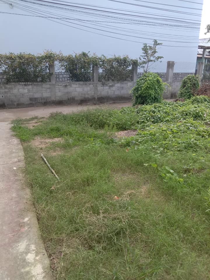 Chính chủ bán Đất lô góc giá rẻ nhất TP Quy Nhơn gần chợ , quán xá , bệnh viện ,trường học