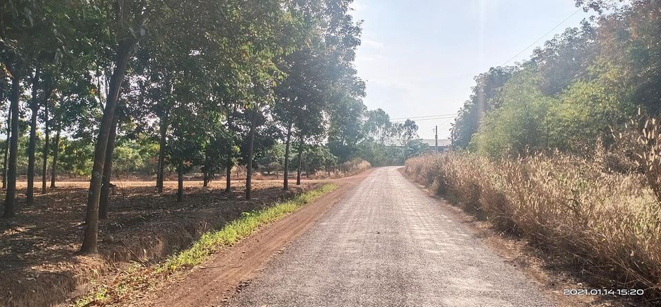 Bán Lô 2 mặt tiền đường quy hoạch. Hơn 2ha giá đầu tư tại vị trí đầu tư. Đất thuộc đồng phú.