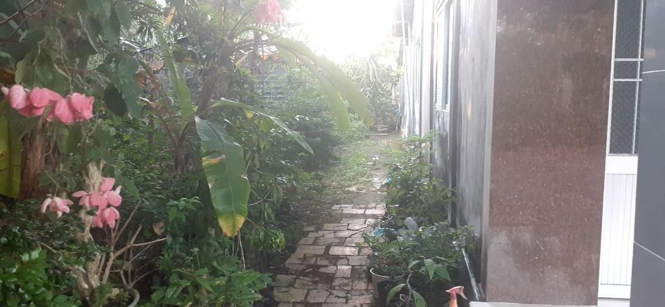 Chú Thím kẹt tiền cần bán gấp 4424m đất + nhà cấp4 mặt tiền đường Dal 3m Châu Thành Đồng Tháp