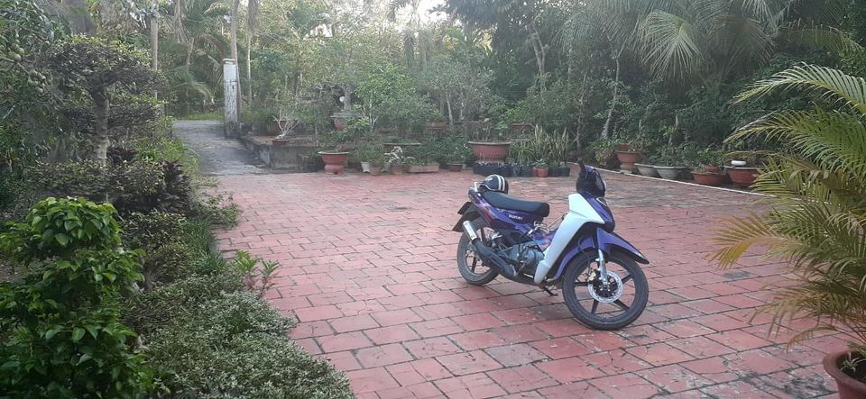 Chú Thím kẹt tiền cần bán gấp 4424m đất + nhà cấp4 mặt tiền đường Dal 3m Châu Thành Đồng Tháp