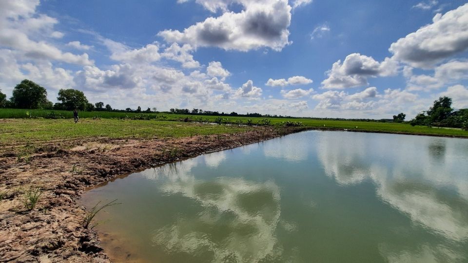 Bán nền mặt tiền kênh Lung Dừa xã Lý Văn Lâm.Diện tích 30x70 có 300m thổ cư.Lộ trước nền 3m