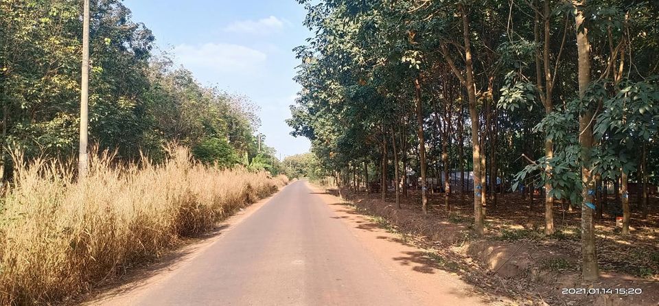 Bán Lô 2 mặt tiền đường quy hoạch. Hơn 2ha giá đầu tư tại vị trí đầu tư. Đất thuộc đồng phú.