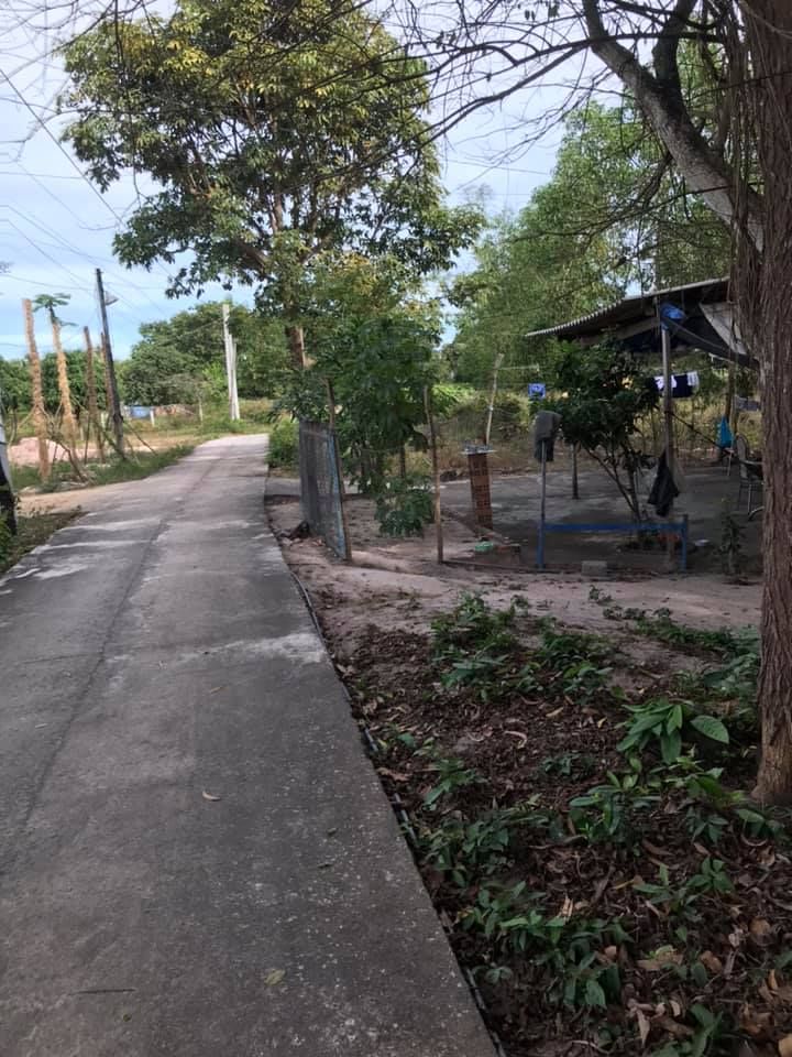 Cần bán lô đất khu hồ sen Láng Đá Đường bê tông 3m, KDC đông đúc ,tiện ích sinh hoạt điện đầy đủ