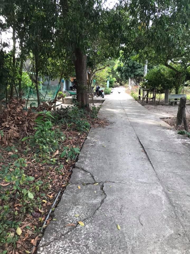 Cần bán lô đất khu hồ sen Láng Đá Đường bê tông 3m, KDC đông đúc ,tiện ích sinh hoạt điện đầy đủ