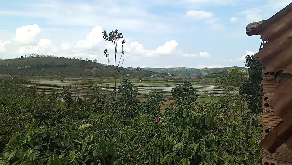 cần bán gấp 2.5ha đất cà phê tiêu bằng tuyệt đối đăk nrung.thích hợp làm fam.nghỉ dưỡng Gia đình