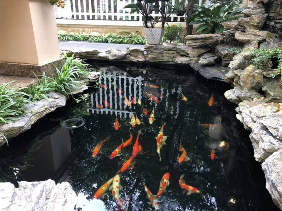 Cần bán nhà biệt thự khu Đô Thị Việt Hưng Long Biên Hà Nội Phong thủy tốt Cần bán