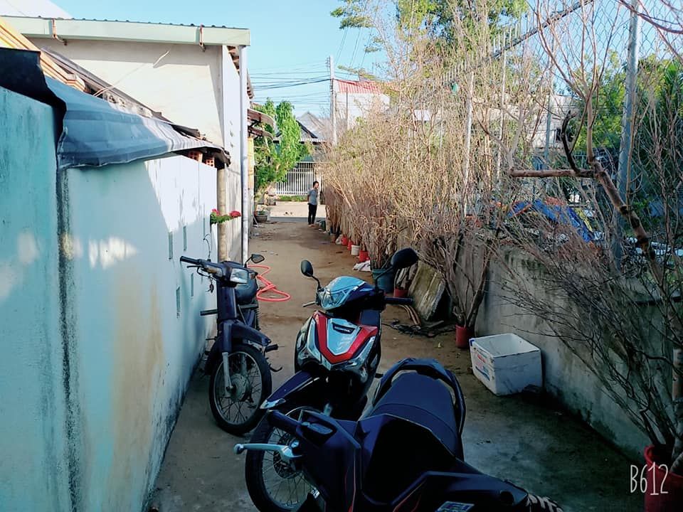 cần ra tìm chủ mới cho ngôi nhà biệt thự Tấn Lộc, diện tích 260mv, nhà 7 Phòng, 3 phòng khách, 4pn