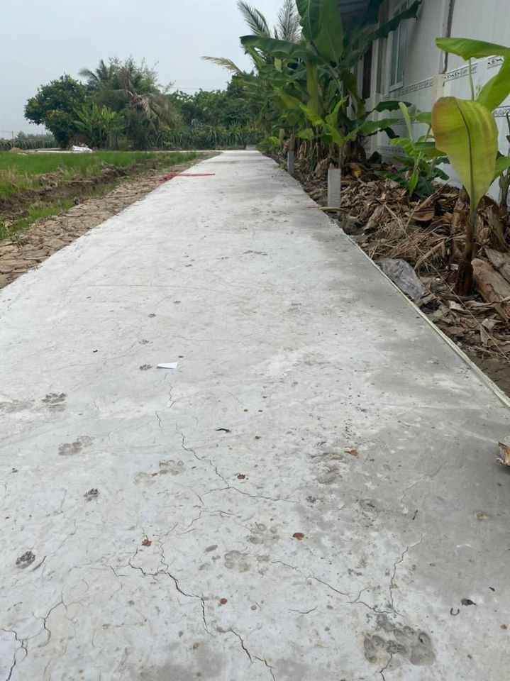 Lóc 5 lô Giá 260tr/lo Ấp 5 Lạc Tấn Tân trụ Long an 5*23 123mv Thổ cư 100% bê tông xe hơi 7 chỗ
