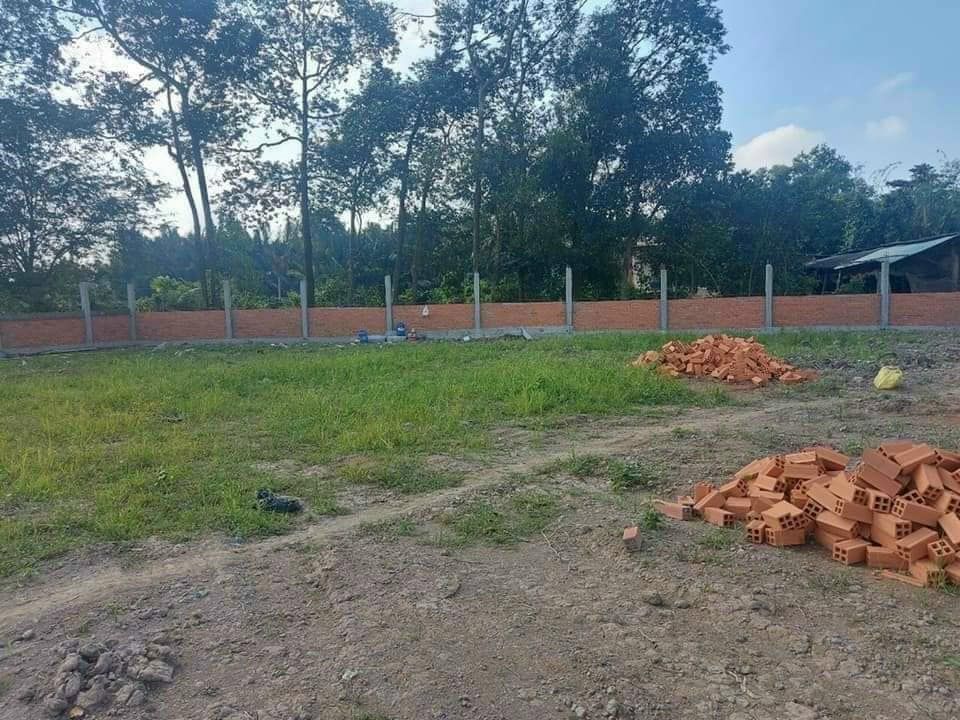 Cần bán 3,300mv đât lúa 3.mặt tiền Ấp 4.xã hòa phú châu thành long an. Đât cao ráo đẹp bằng phẳng