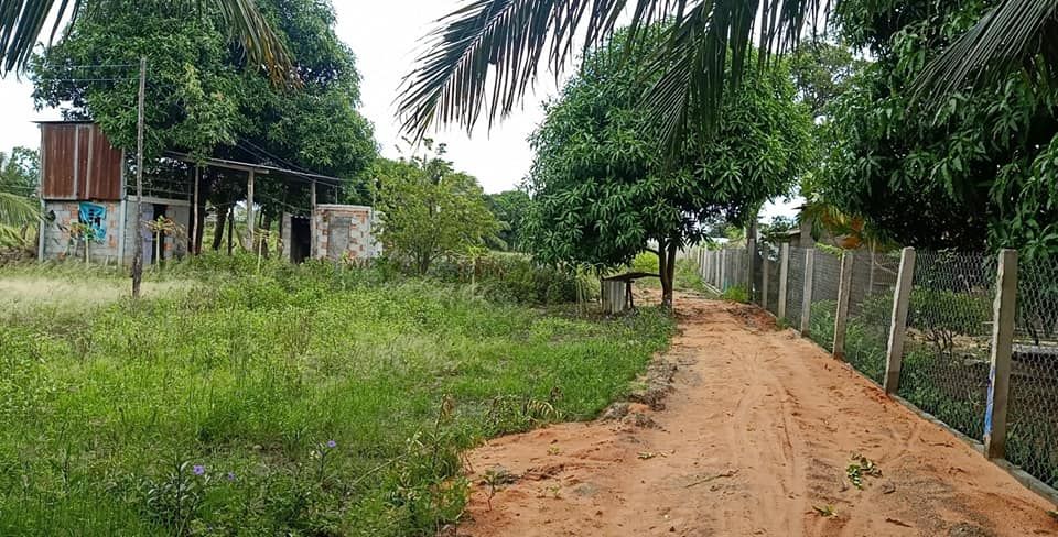 Bán Đất Nông Nghiệp Phường Văn Hải Giá Rẻ, Đất Nền Cao Ráo, Xung Quanh Đã Có Nhà Xây Rồi